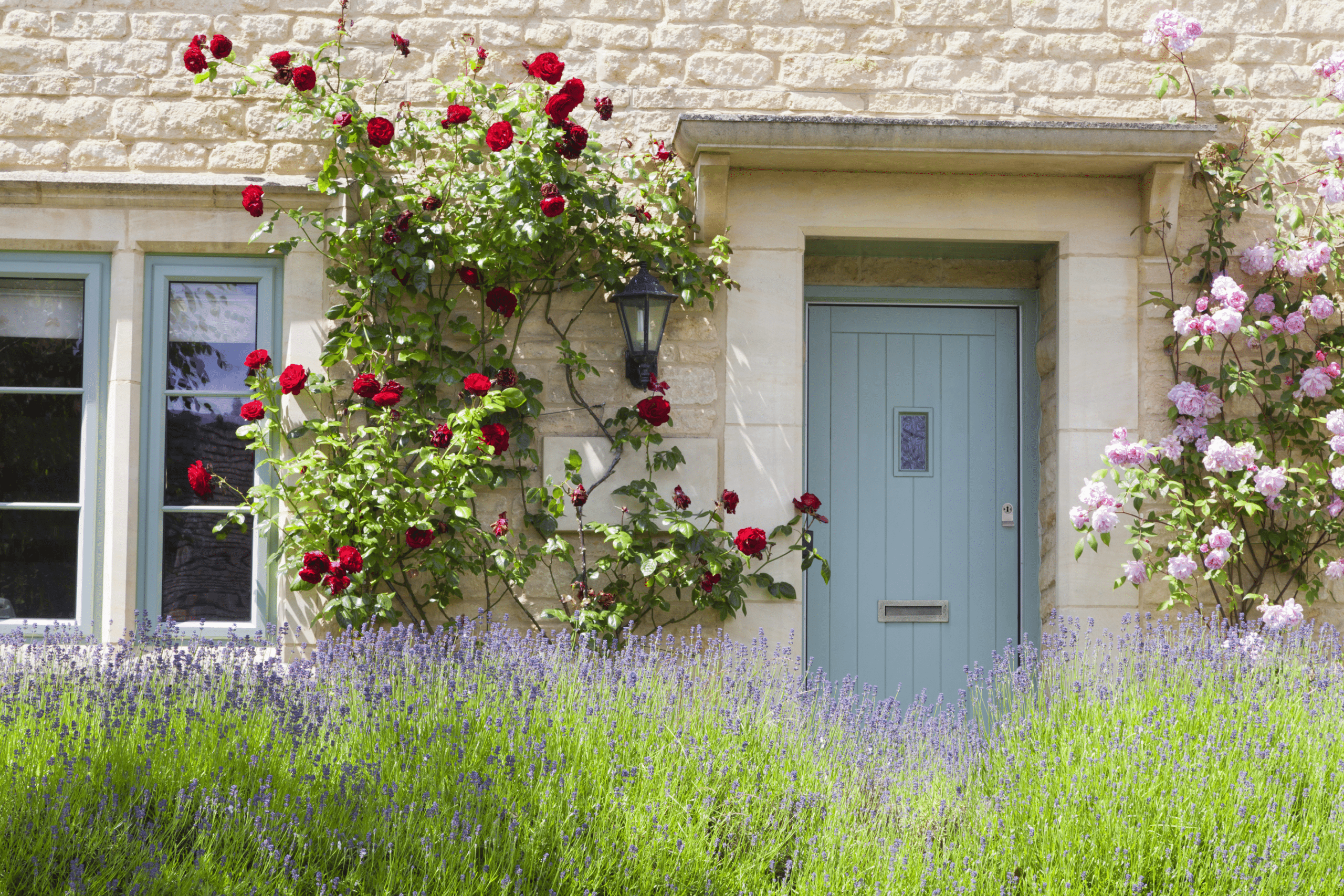 Scotdoor - Sky Blue - Cottage - Roses