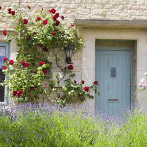 Scotdoor - Sky Blue - Cottage - Roses