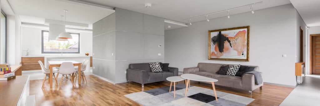 Modern, open-plan apartment with grey aluminium window