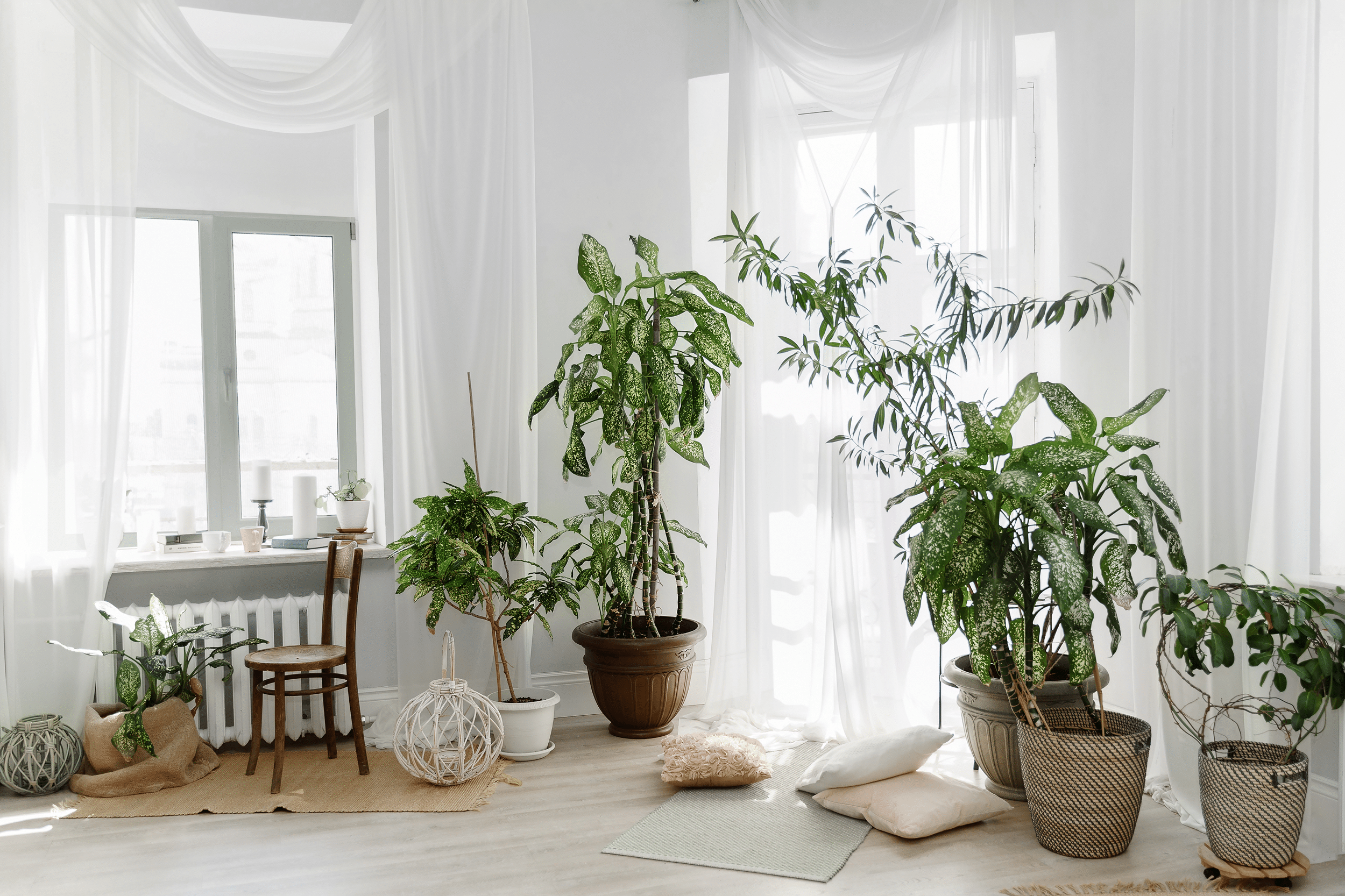 Painswick uVPC window in bright, neutral living room with plants and natural materials